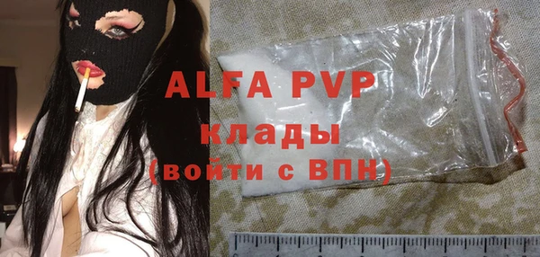 СК Покачи