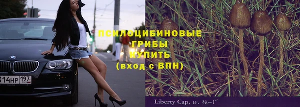 бошки Абинск